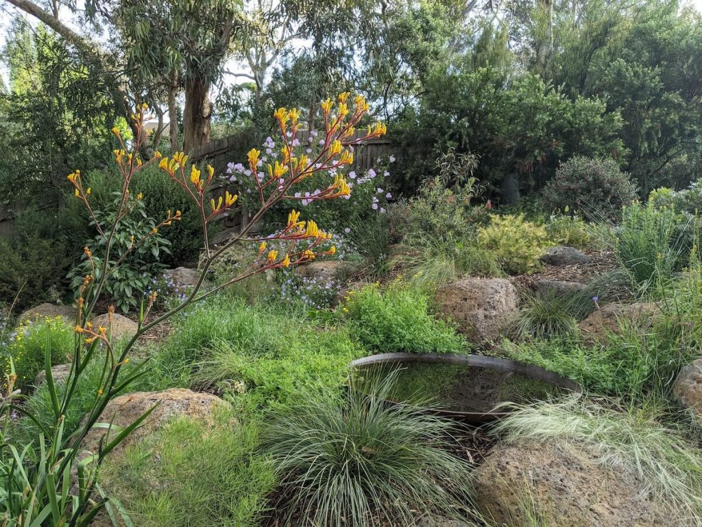 Natural Landscape Design Templestowe Crisfield Landscap